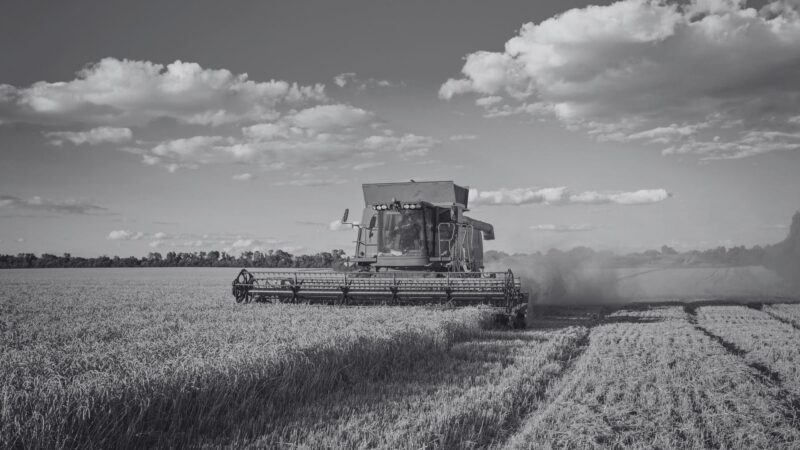 Fertilizantes: soberania nacional e futuro do agro brasileiro