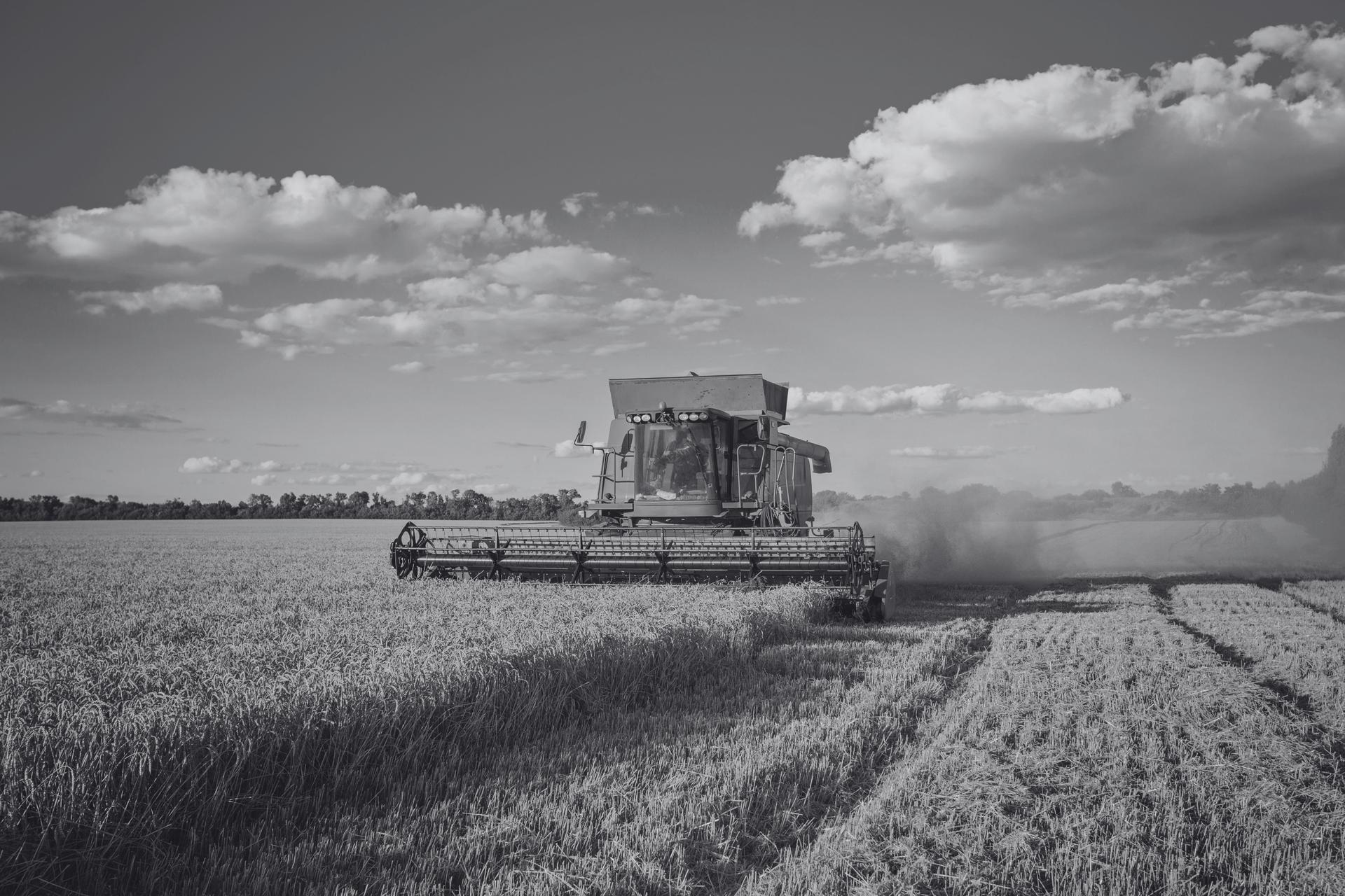 Fertilizantes: soberania nacional e futuro do agro brasileiro